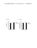 Secreted aP2 and Methods of Inhibiting Same diagram and image