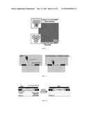 METALLIC AND SEMICONDUCTOR NANOTUBES, NANOCOMPOSITE OF SAME, PURIFICATION     OF SAME, AND USE OF SAME diagram and image