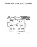 METALLIC AND SEMICONDUCTOR NANOTUBES, NANOCOMPOSITE OF SAME, PURIFICATION     OF SAME, AND USE OF SAME diagram and image