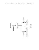 BIOLOGICAL METHODS FOR PREPARING A FATTY DICARBOXYLIC ACID diagram and image