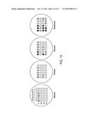 BIOLOGICAL METHODS FOR PREPARING A FATTY DICARBOXYLIC ACID diagram and image