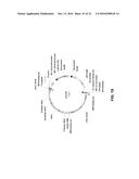 BIOLOGICAL METHODS FOR PREPARING A FATTY DICARBOXYLIC ACID diagram and image