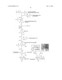 PROCESSING BIOMASS diagram and image