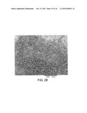 PROCESSING BIOMASS diagram and image