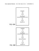 PROCESSING BIOMASS diagram and image