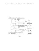 Host Cells and Methods for Producing 1-Deoxyxylulose 5-phosphate (DXP)     and/or a DXP Derived Compound diagram and image