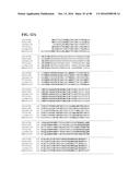 THERMOPHILIC AND THERMOACIDOPHILIC BIOPOLYMER-DEGRADING GENES AND ENZYMES     FROM ALICYCLOBACILLUS ACIDOCALDARIUS AND RELATED ORGANISMS, METHODS diagram and image