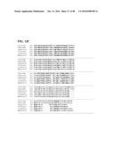 THERMOPHILIC AND THERMOACIDOPHILIC BIOPOLYMER-DEGRADING GENES AND ENZYMES     FROM ALICYCLOBACILLUS ACIDOCALDARIUS AND RELATED ORGANISMS, METHODS diagram and image