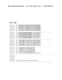 THERMOPHILIC AND THERMOACIDOPHILIC BIOPOLYMER-DEGRADING GENES AND ENZYMES     FROM ALICYCLOBACILLUS ACIDOCALDARIUS AND RELATED ORGANISMS, METHODS diagram and image