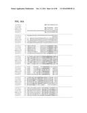 THERMOPHILIC AND THERMOACIDOPHILIC BIOPOLYMER-DEGRADING GENES AND ENZYMES     FROM ALICYCLOBACILLUS ACIDOCALDARIUS AND RELATED ORGANISMS, METHODS diagram and image