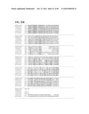 THERMOPHILIC AND THERMOACIDOPHILIC BIOPOLYMER-DEGRADING GENES AND ENZYMES     FROM ALICYCLOBACILLUS ACIDOCALDARIUS AND RELATED ORGANISMS, METHODS diagram and image