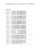 THERMOPHILIC AND THERMOACIDOPHILIC BIOPOLYMER-DEGRADING GENES AND ENZYMES     FROM ALICYCLOBACILLUS ACIDOCALDARIUS AND RELATED ORGANISMS, METHODS diagram and image