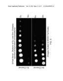 METHOD AND SYSTEM FOR MULTIPLEXED TIME-RESOLVED FLUORESCENCE DETECTION diagram and image