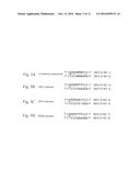 METHOD FOR PREPARING NUCLEIC ACID APTAMER diagram and image