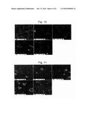 NDFEB SYSTEM SINTERED MAGNET diagram and image