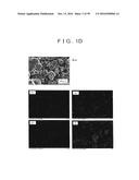 ROD SHAPED CRYSTAL OF SULFIDE COMPOUND SEMICONDUCTOR diagram and image