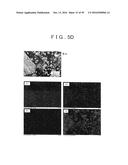 ROD SHAPED CRYSTAL OF SULFIDE COMPOUND SEMICONDUCTOR diagram and image