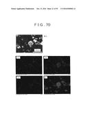 ROD SHAPED CRYSTAL OF SULFIDE COMPOUND SEMICONDUCTOR diagram and image