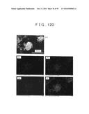 ROD SHAPED CRYSTAL OF SULFIDE COMPOUND SEMICONDUCTOR diagram and image