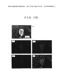 ROD SHAPED CRYSTAL OF SULFIDE COMPOUND SEMICONDUCTOR diagram and image