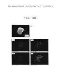 ROD SHAPED CRYSTAL OF SULFIDE COMPOUND SEMICONDUCTOR diagram and image