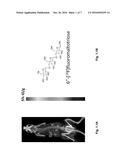 PROBES AND METHODS OF IMAGING A BACTERIAL INFECTION diagram and image