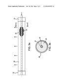 GAS SEPARATION MEMBRANE MODULE WITH INTEGRATED FILTER diagram and image