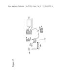 Endoscope with Integrated Measurement of Distance to Objects of Interest diagram and image