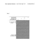 MODIFIED G-QUADRUPLEX NANOPARTICLES diagram and image