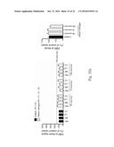 USE OF OXYGEN-CONTAINING GAS SOURCE diagram and image