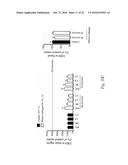 USE OF OXYGEN-CONTAINING GAS SOURCE diagram and image