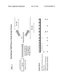 MULTI-EPITOPE TARP PEPTIDE VACCINE AND USES THEREOF diagram and image