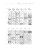 TOPK Peptides and Vaccines Including the Same diagram and image