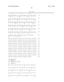 TOPK Peptides and Vaccines Including the Same diagram and image