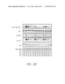 Sphingosine Kinase Type 1 Inhibitors and Uses Thereof diagram and image