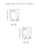 Sphingosine Kinase Type 1 Inhibitors and Uses Thereof diagram and image