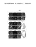 REDUCING MEMORY LOSS IN MAMMALS SUFFERING FROM ALZHEIMER S DISEASE diagram and image