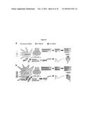 REDUCING MEMORY LOSS IN MAMMALS SUFFERING FROM ALZHEIMER S DISEASE diagram and image