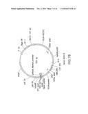 Vectors Conditionally Expressing Protein diagram and image