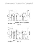 Vectors Conditionally Expressing Protein diagram and image