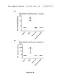 DISULFIDE-LINKED POLYETHYLENEGLYCOL/PEPTIDE CONJUGATES FOR THE     TRANSFECTION OF NUCLEIC ACIDS diagram and image