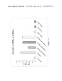 DISULFIDE-LINKED POLYETHYLENEGLYCOL/PEPTIDE CONJUGATES FOR THE     TRANSFECTION OF NUCLEIC ACIDS diagram and image