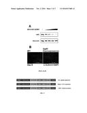 THERAPEUTIC MIRNAS FOR TREATING HEART AND SKELETAL MUSCLE DISEASES diagram and image