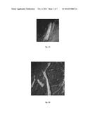 BLENDED FIBERS IN AN ENGINEERED CEMENTITIOUS COMPOSITE diagram and image