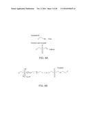 CONTACT LENS WITH A HYDROPHILIC LAYER diagram and image