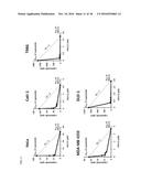 PHARMARCEUTICAL COMPOSITION FOR PREVENTING OR TREATING CANCER, CONTAINING     PROTEASOME INHIBITOR AND LOPERAMIDE AS ACTIVE INGREDIENTS diagram and image