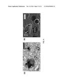 CEMENTITIOUS MIXTURES, COMPOSITIONS FOR USE IN CEMENTITIOUS MIXTURES, AND     METHODS OF PRODUCING CEMENTITIOUS MIXTURES diagram and image