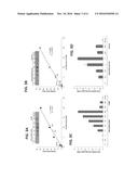 LACTIC ACID BACTERIA FOR THE PRODUCTION OF ETHANOL FROM BIOMASS MATERIAL diagram and image