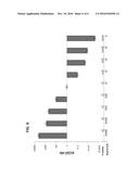 LACTIC ACID BACTERIA FOR THE PRODUCTION OF ETHANOL FROM BIOMASS MATERIAL diagram and image