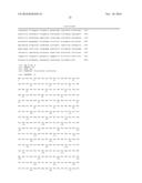 LACTIC ACID BACTERIA FOR THE PRODUCTION OF ETHANOL FROM BIOMASS MATERIAL diagram and image